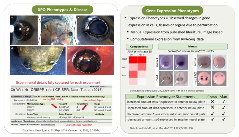 The Comprehensive Guide to Reddy Anna ID: Features, Benefits, and Community Impact
