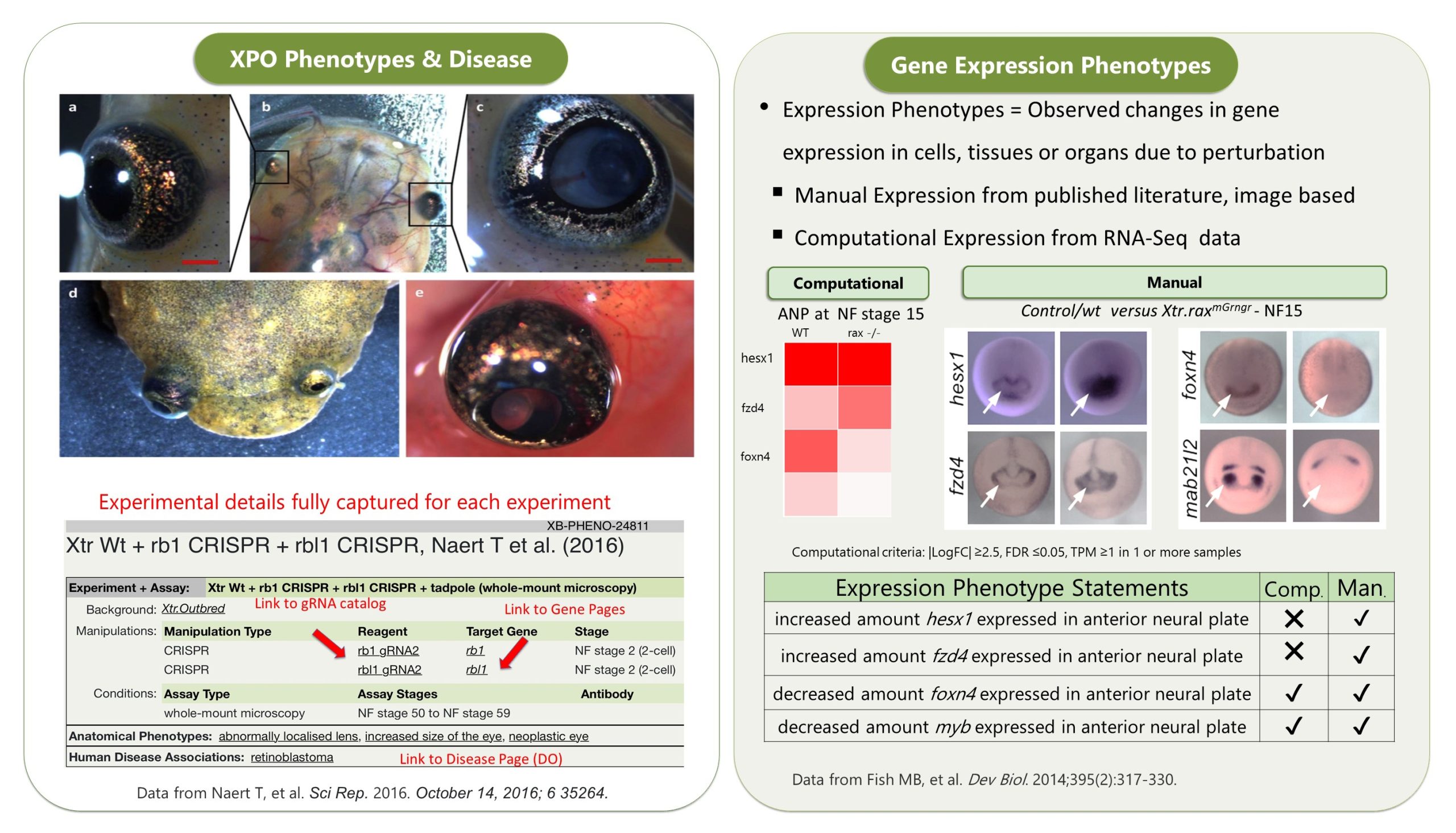 The Comprehensive Guide to Reddy Anna ID: Features, Benefits, and Community Impact